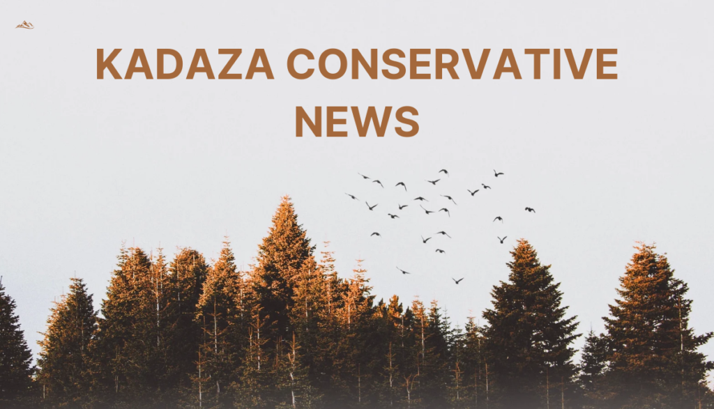 Kadaza Conservative News