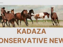 kadaza conservative