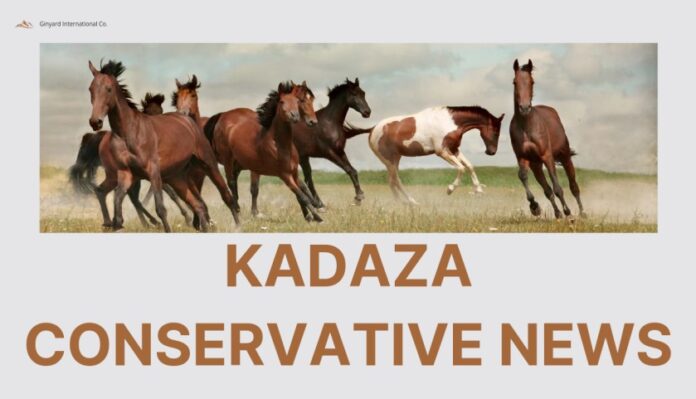 kadaza conservative