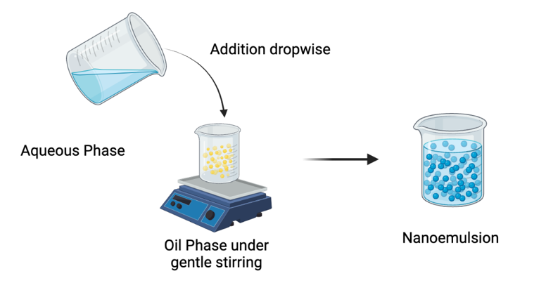 Nano Emulsion Technology Pump System