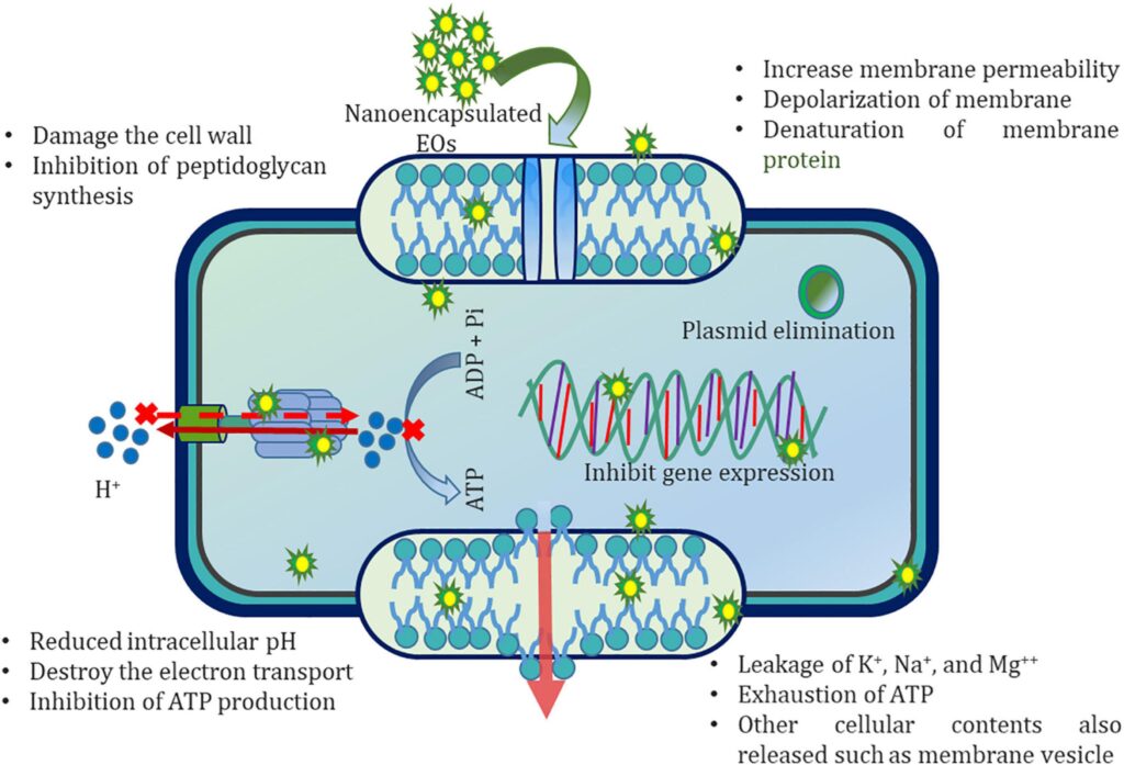 Nano Emulsion Technology Pump System