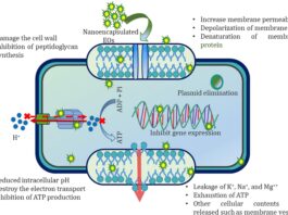 Nano Emulsion Technology Pump System